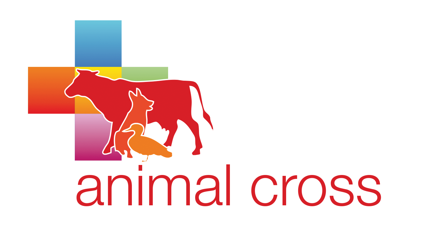Animal Cross recrute un(e) chargé(e) de campagnes
