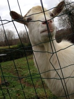 Besoin d’aide samedi 21 février près de Pau