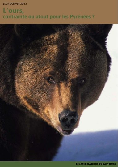 L’ours s’invite aux élections législatives