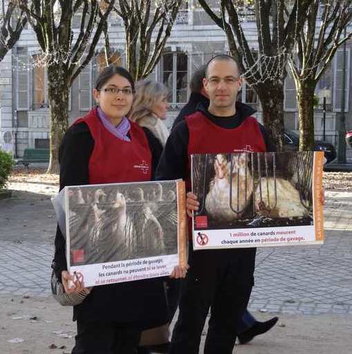 Action à Pau sur le foie gras