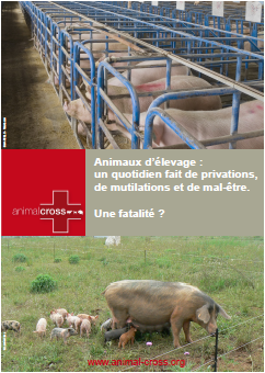 Nouvelle brochure sur les animaux d’élevage : pour dénoncer l’insupportable
