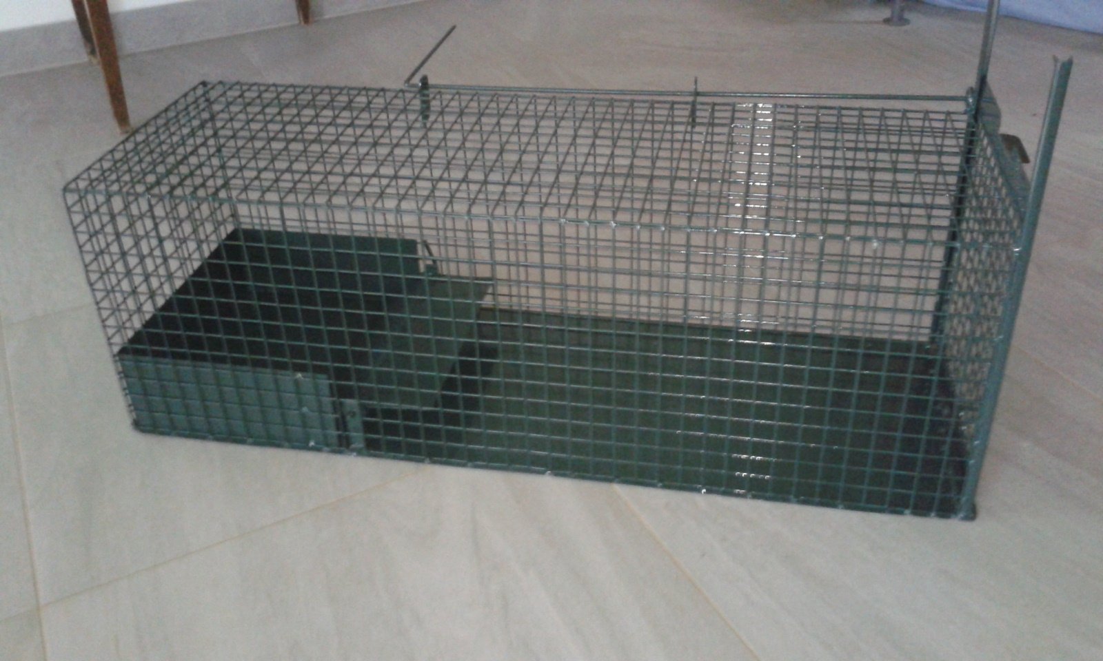 De magnifiques cages pour nous aider à stériliser les chats sauvages !