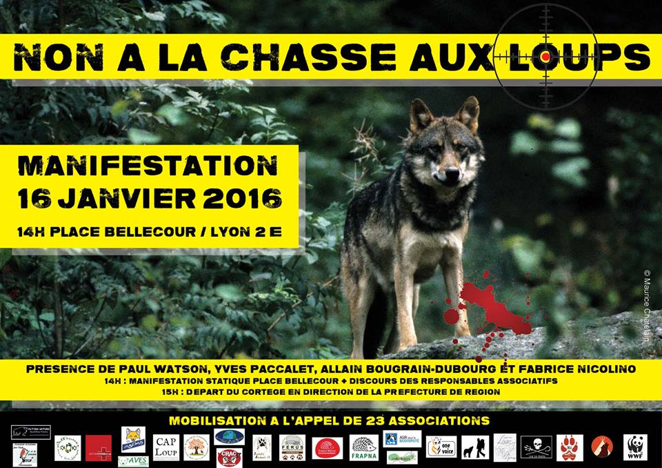 Grande mobilisation inter-associative contre la chasse aux loups Lyon, le 16 janvier 2016