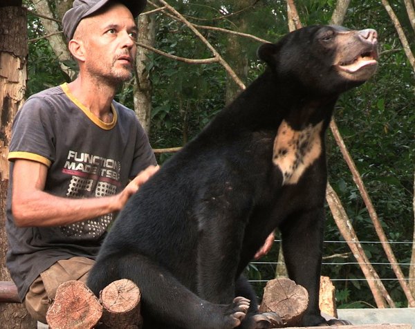 Aidons des ours malais avec Patrick Rouxel