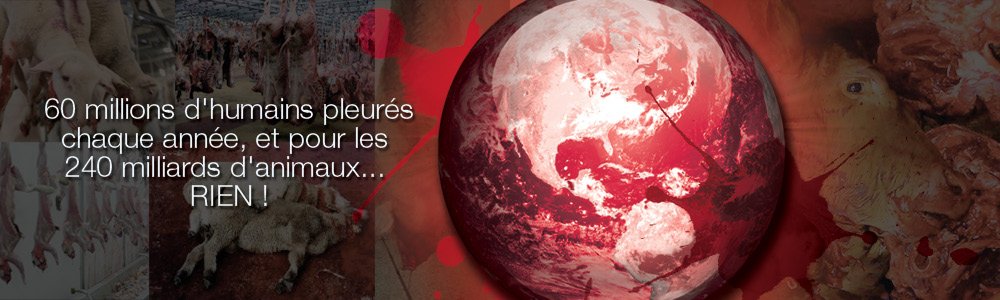 En 2015, 85 milliards d’animaux terrestres tués pour la consommation humaine. 1,5 milliard en France.