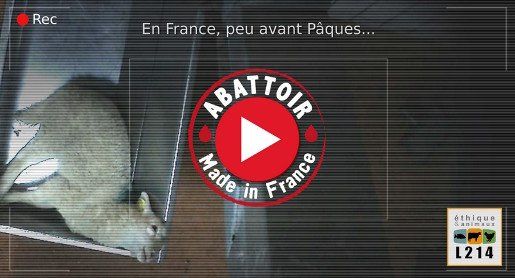 Nouvelle vidéo tournée à l’abattoir de Mauléon