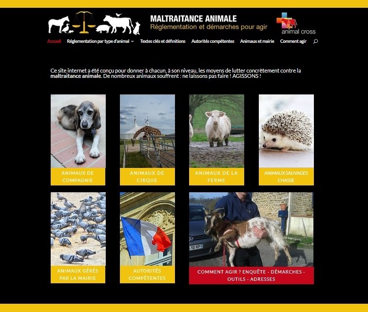 Animal Cross lance un nouveau site internet sur la maltraitance animale