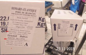 Homards conditionnés à la vente casier bouteilles en carton 23 11 2018 web - Droits réservés