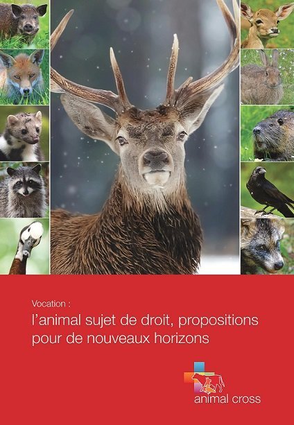 Sortie livre : “Vocation : l’animal sujet de droit, propositions pour de nouveaux horizons”