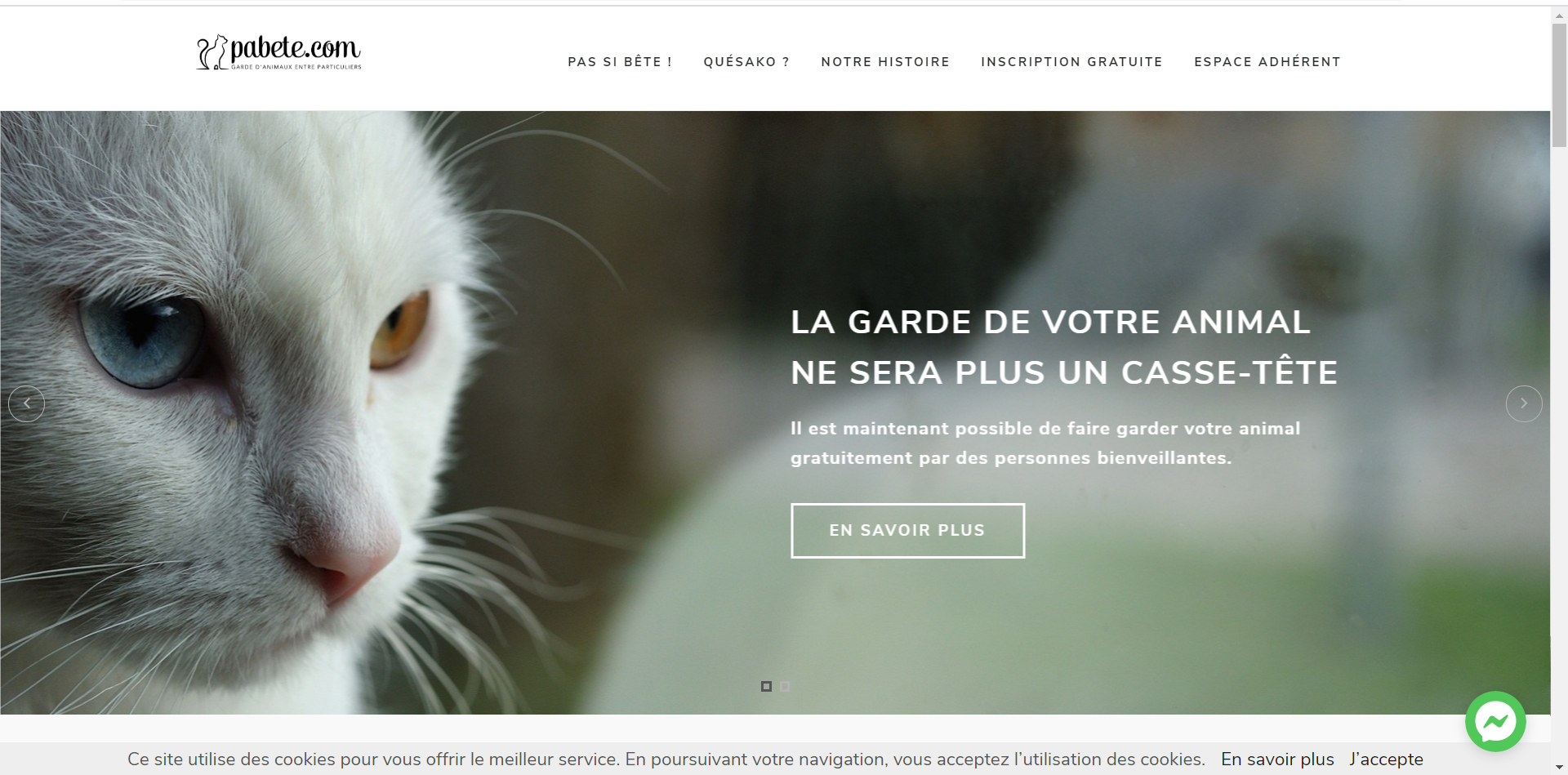 Pabete.com : un service de garde des animaux gratuit pour les personnes touchées par le Covid-19