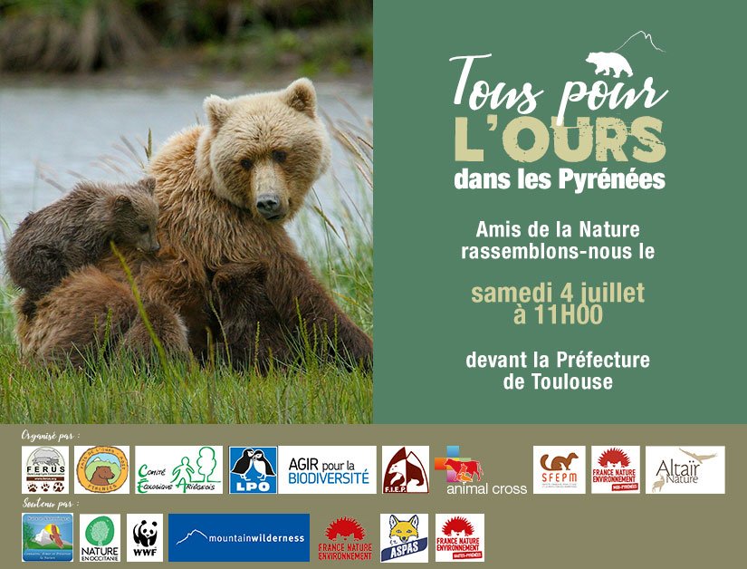 Appel à rassemblement public, Tous pour l’Ours dans les Pyrénées, samedi 4 juillet 2020 à Toulouse