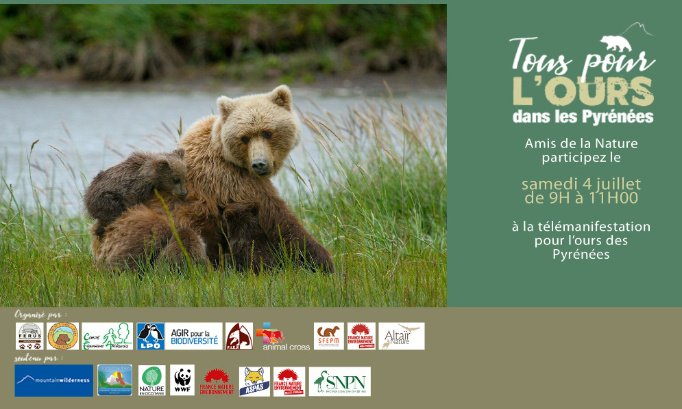 Télémanifestez pour l’ours samedi 4 juillet entre 9h et 11H