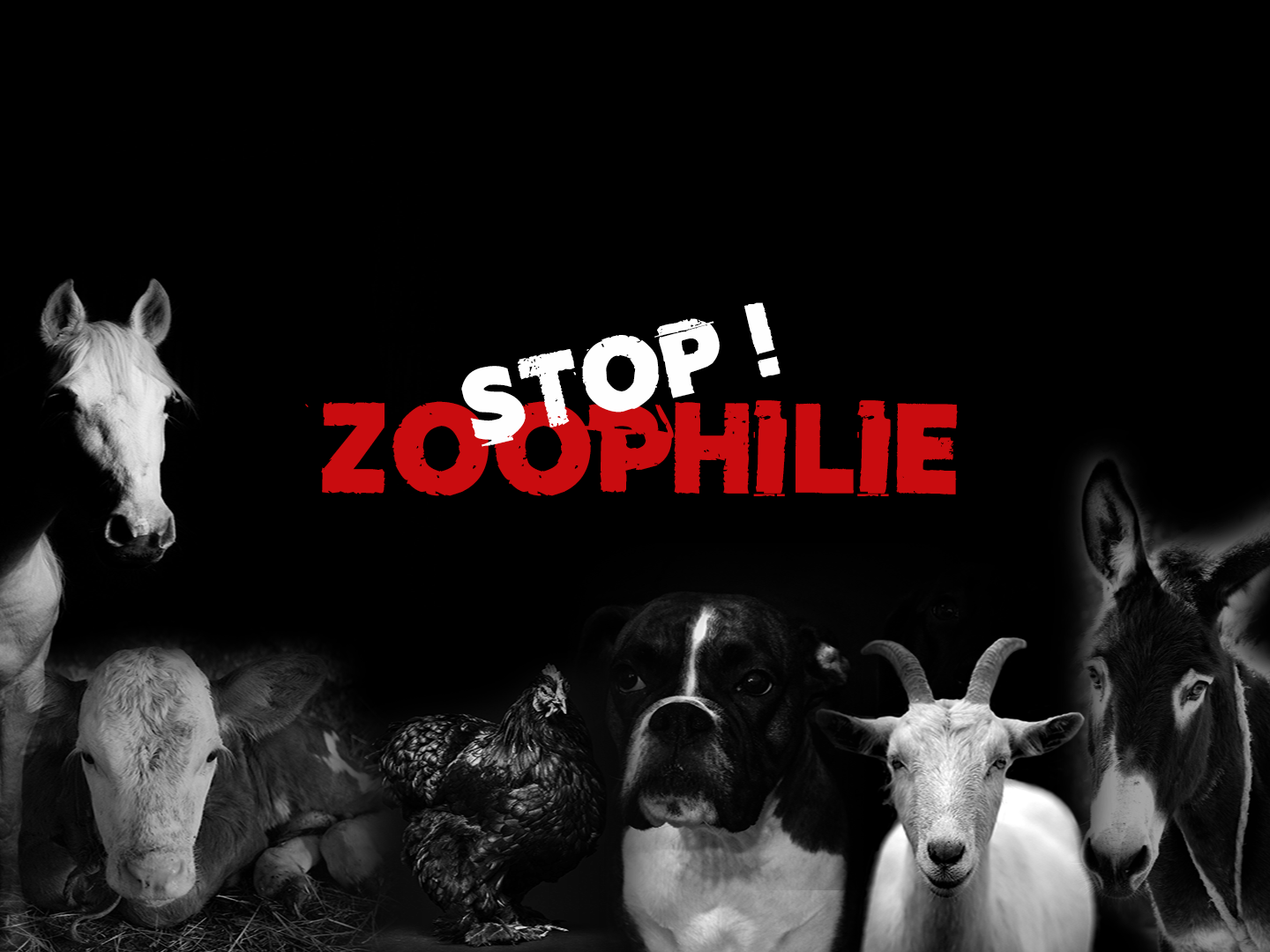 Stop zoophilie : lancez l’alerte !