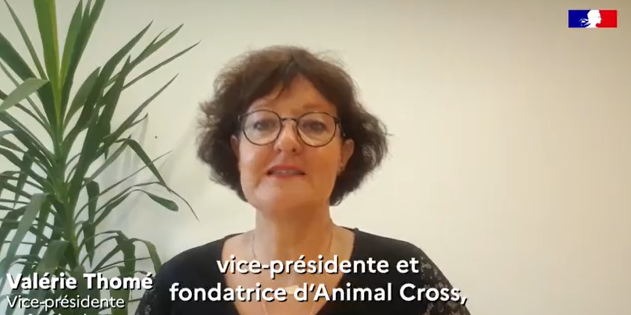 Animal Cross présent aux Espaces Génération Nature du Congrès de l’UICN à Marseille!