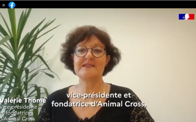 Animal Cross présent aux Espaces Génération Nature du Congrès de l’UICN à Marseille!