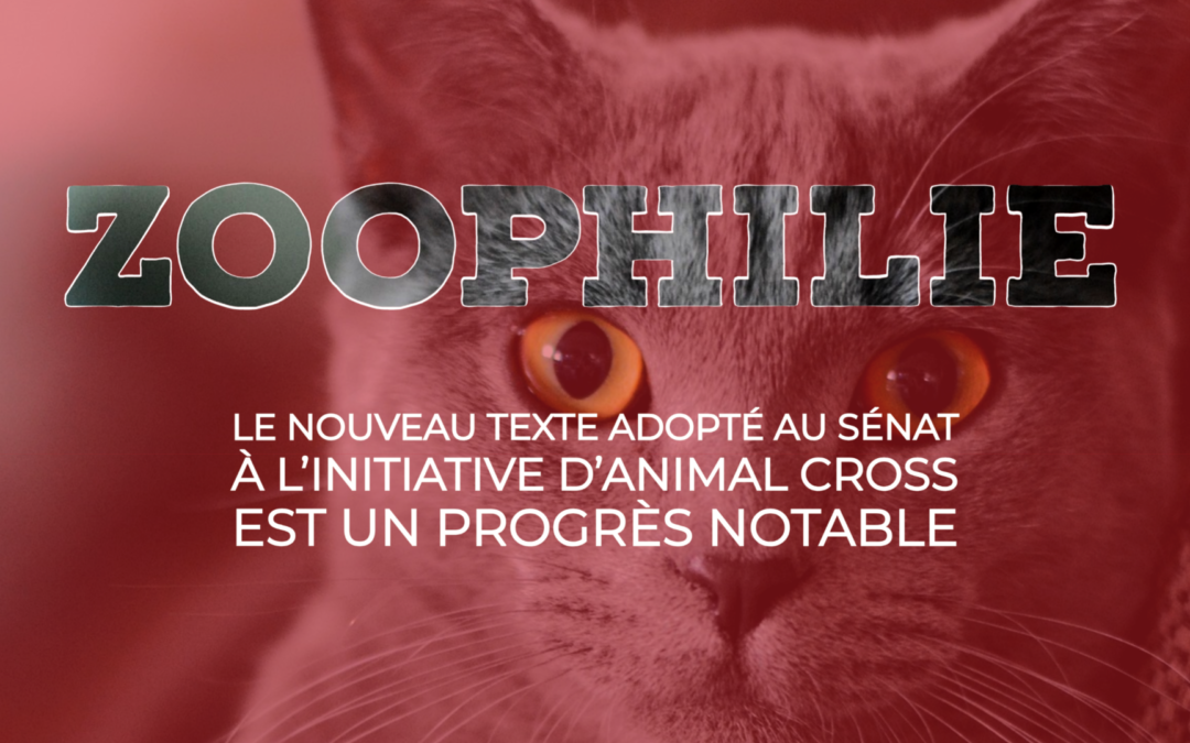 Zoophilie : le nouveau texte adopté au Sénat à l’initiative d’Animal Cross est un progrès notable