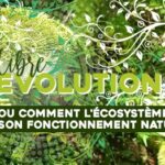 Conférence : la libre évolution, ou comment l’écosystème retrouve son fonctionnement naturel ? 24/09/22 à Pau