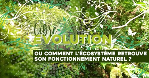 Conférence : la libre évolution, ou comment l’écosystème retrouve son fonctionnement naturel ? 24/09/22 à Pau