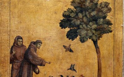 4 octobre : une journée mondiale pour rendre visibles les animaux