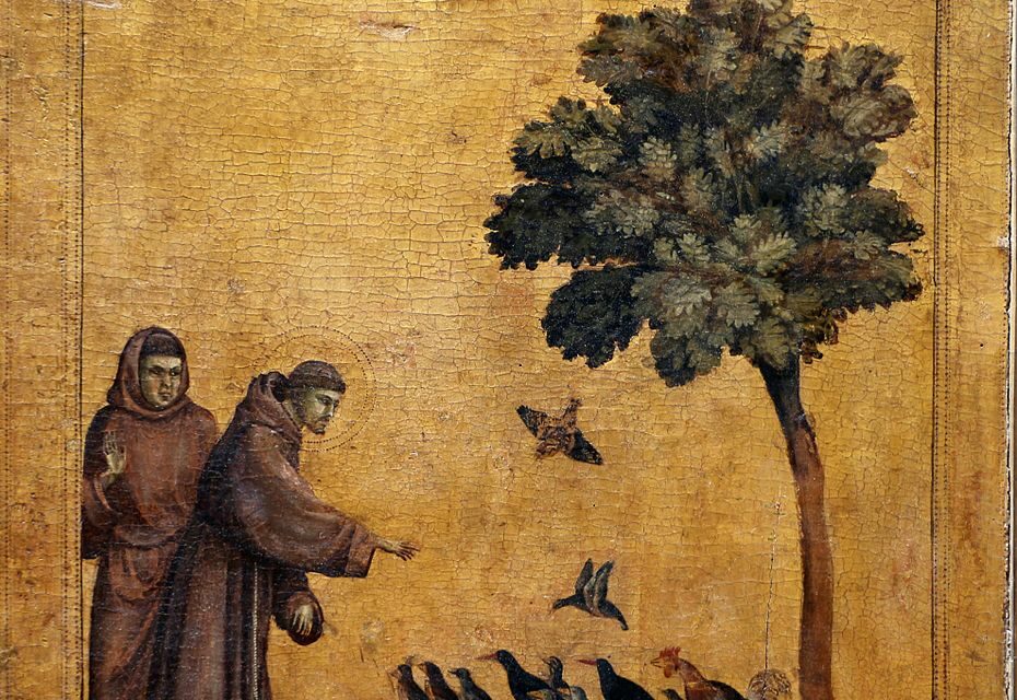 4 octobre : une journée mondiale pour rendre visibles les animaux