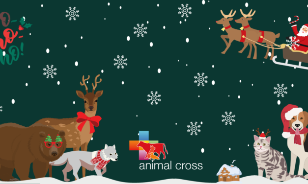 2022 : une année riche en actions pour Animal Cross !