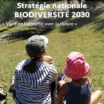 Stratégie nationale Biodiversité 2030 : qu’en est-il de la libre évolution ?