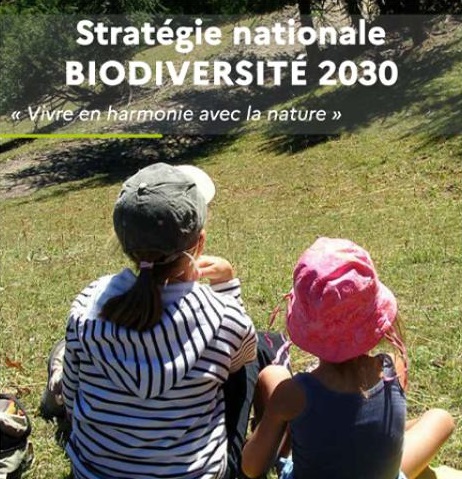 Stratégie nationale Biodiversité 2030 : qu’en est-il de la libre évolution ?