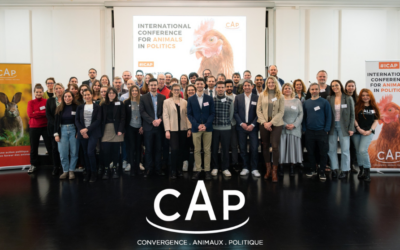 Vers une Europe unie pour la protection des animaux : leçons à tirer de l’ICAP Paris 2024