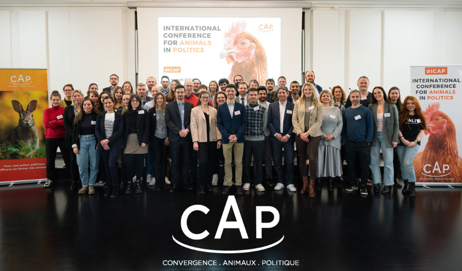 Vers une Europe unie pour la protection des animaux : leçons à tirer de l’ICAP Paris 2024