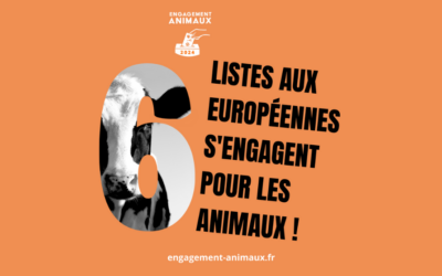 Élections européennes : six listes françaises s’engagent  pour les animaux