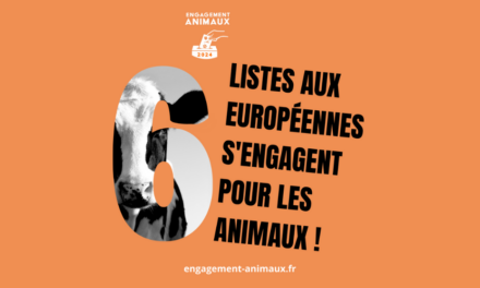 Élections européennes : six listes françaises s’engagent  pour les animaux