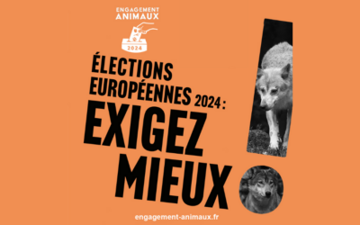 Elections européennes 2024 : Les principaux partis de gauche et Renaissance s’engagent sur le bien-être animal