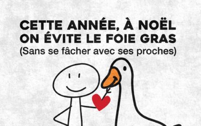 Cette année, à Noël, on pense aux animaux : on évite le foie gras…