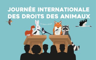 Journée internationale pour les droits des animaux : Animal Cross propose une déclaration des droits des animaux sauvages !