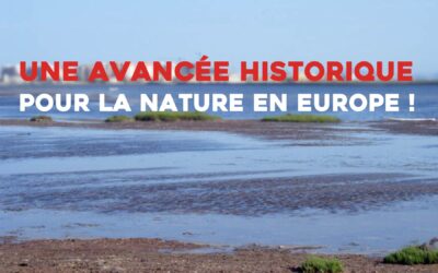 Animal Cross salue une avancée historique pour la nature en Europe !