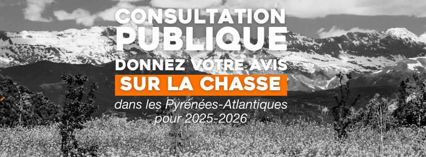 Consultation publique : donnez votre avis sur la chasse dans les Pyrénées-Atlantiques pour 2025-2026