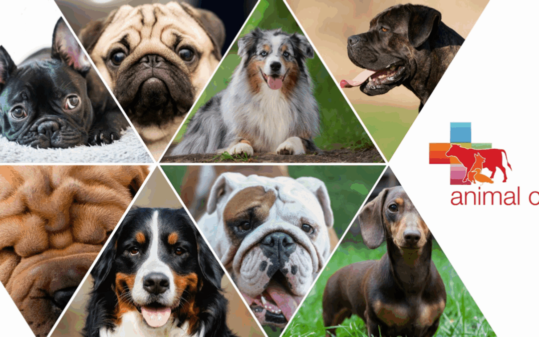 Communiqué de presse hypertypes