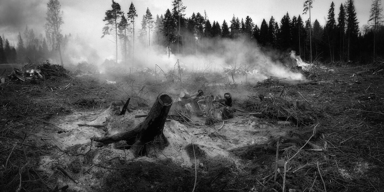 Aude 2025 : pourquoi interdire la chasse dans les zones touchées par le mégafeu