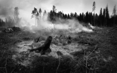 Aude 2025 : pourquoi interdire la chasse dans les zones touchées par le mégafeu