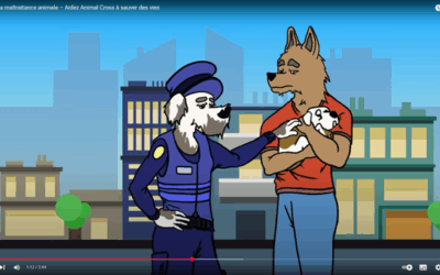 Nouvelle vidéo : lutter contre la maltraitance animale, un combat quotidien