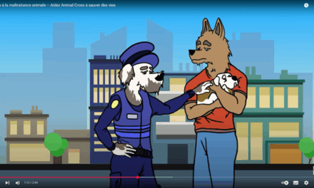 Nouvelle vidéo : lutter contre la maltraitance animale, un combat quotidien