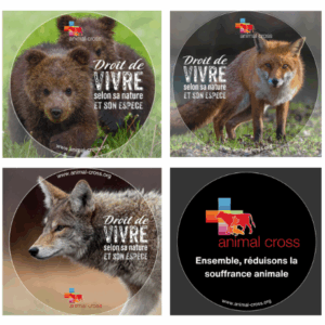 Lot 4 Autocollants - Animaux
