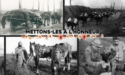 Ces animaux morts pour la France que nous ne devons pas oublier