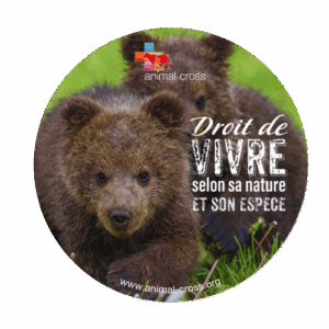 Magnet - Droit de vivre - Oursons