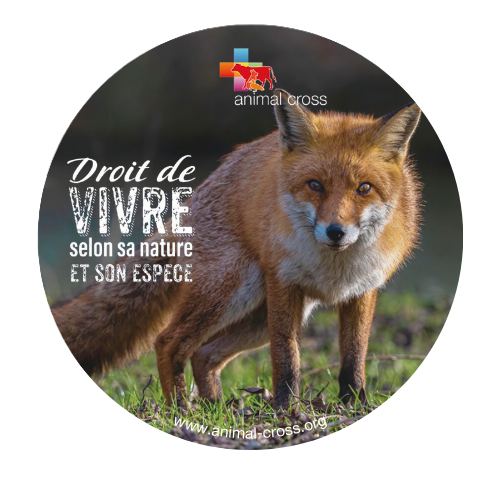 Magnet - Droit de vivre - Renard