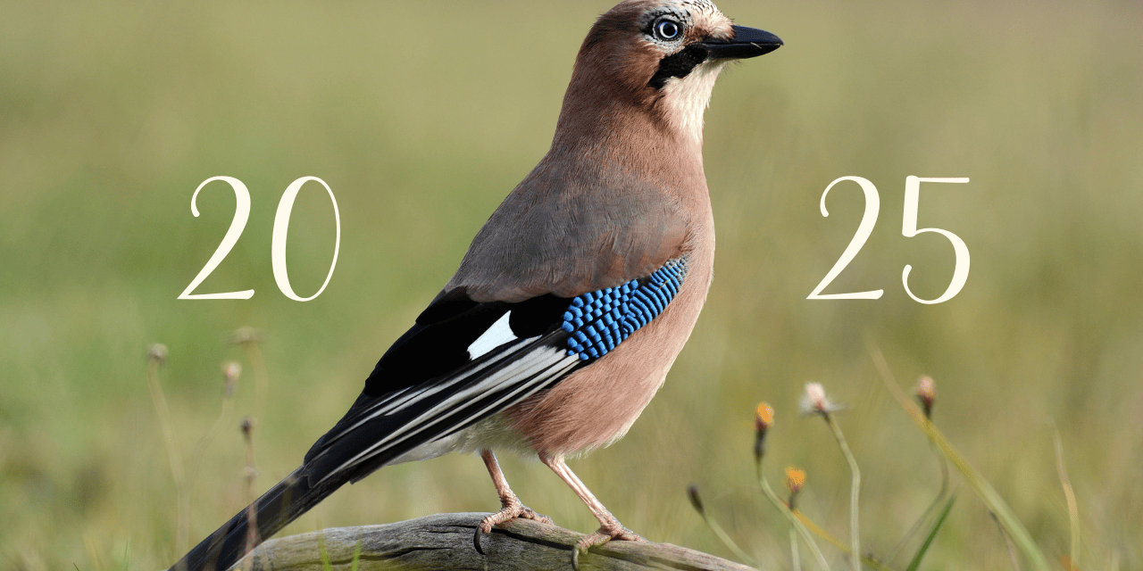 2025 : une année décisive au service du vivant