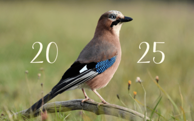 2025 : une année décisive au service du vivant