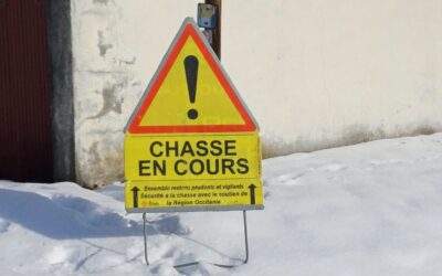 Accidents de chasse : Quand nos loisirs deviennent des zones de guerre
