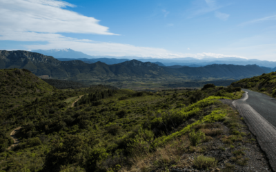 Victoire d’étape dans l’Aude : la mobilisation porte ses fruits pour la faune rescapée du mégafeu