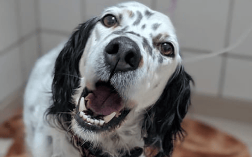 2026 : une année qui démarre fort en sauvetages